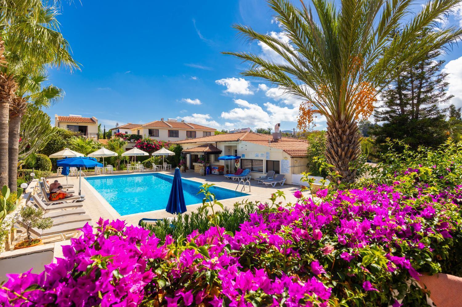 Tavros Hotel Apartments Polis Szoba fotó