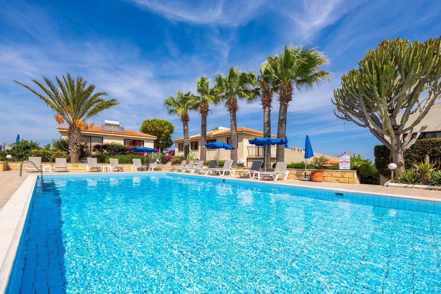 Tavros Hotel Apartments Polis Kültér fotó