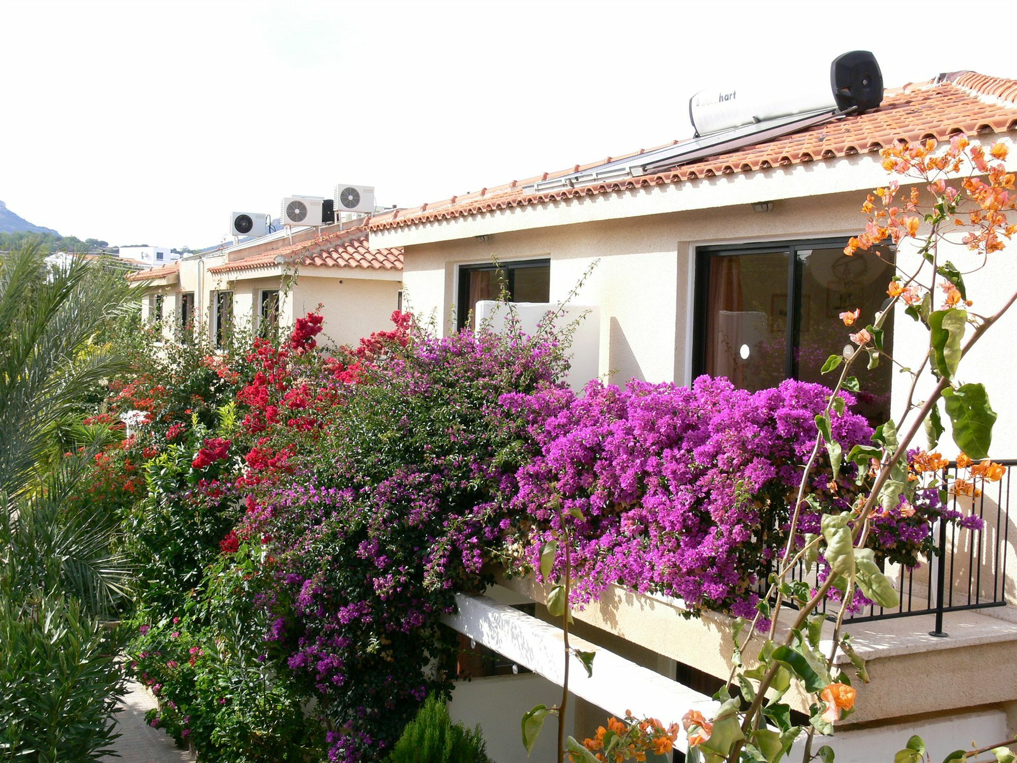 Tavros Hotel Apartments Polis Kültér fotó